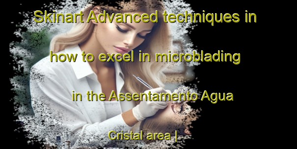 Skinart Advanced techniques in how to excel in microblading in the Assentamento Agua Cristal area | MicrobladingTraining | MicrobladingClasses | SkinartTraining-Brazil